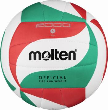 Volleyball Molten V5M2000