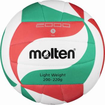 Volleyball Molten V5M2000-L