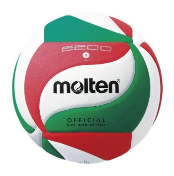 Volleyball Molten V5C2200