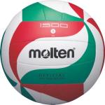 Volleyball Molten V5M1500